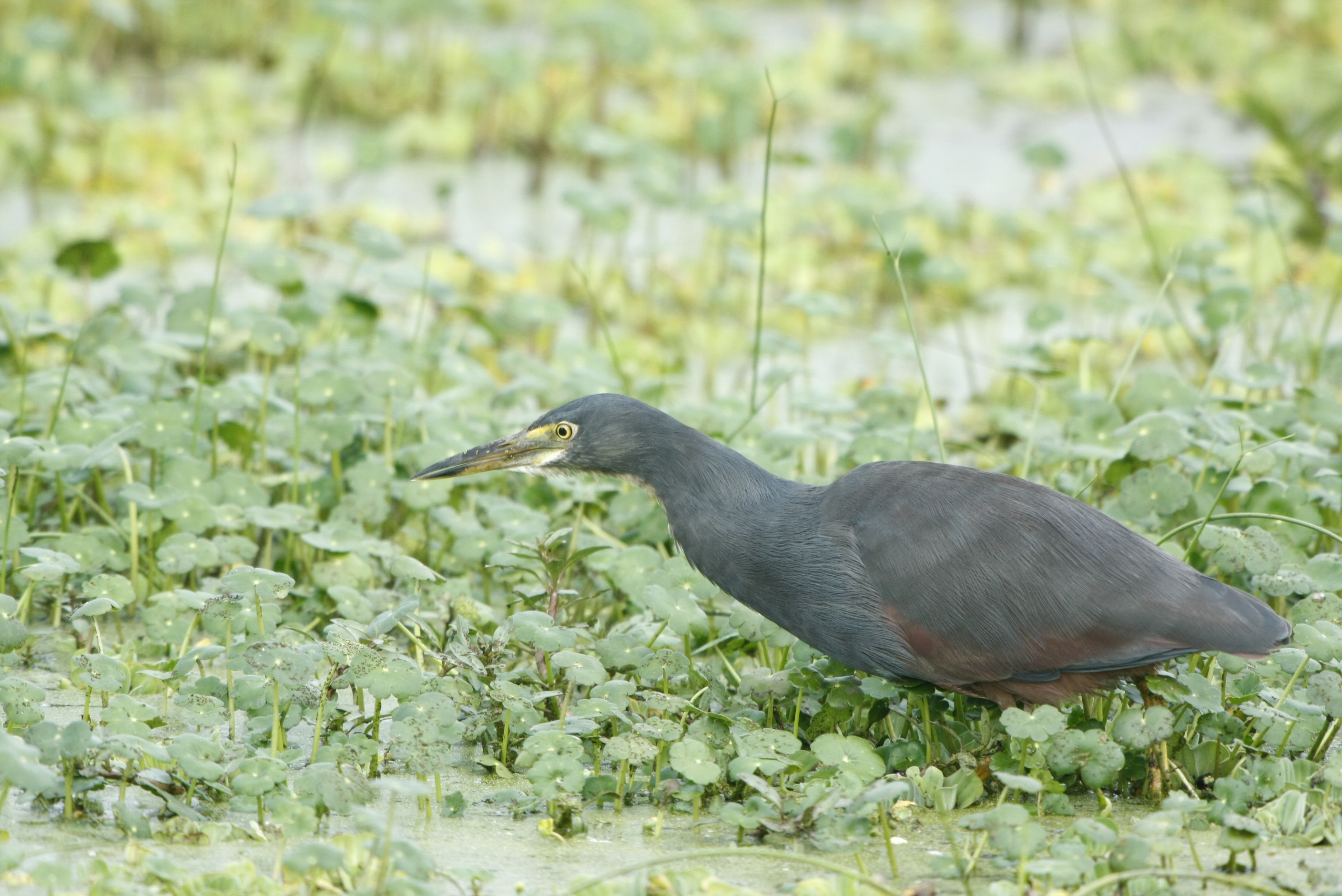 jan-and-petra-mara-140