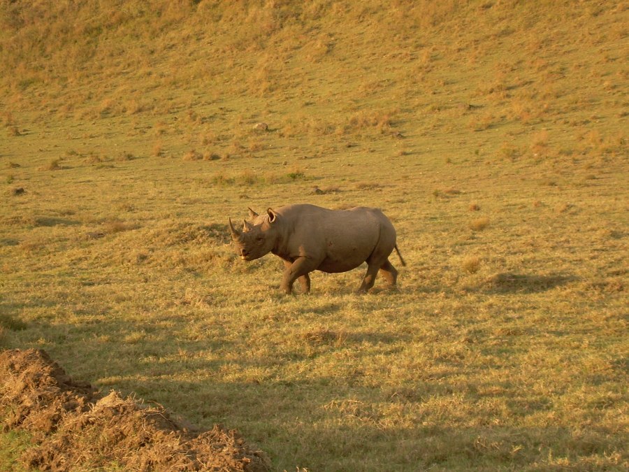 Koos and Herbert Minter Trip 072