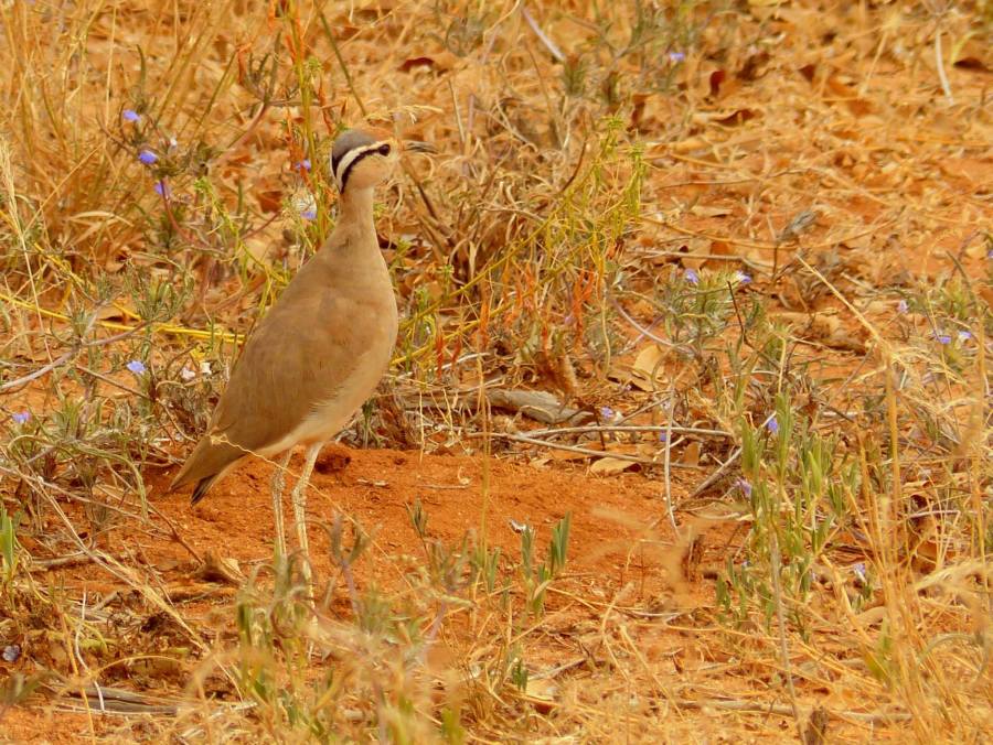 10295197_10205814068612158_6495210203132553486_o