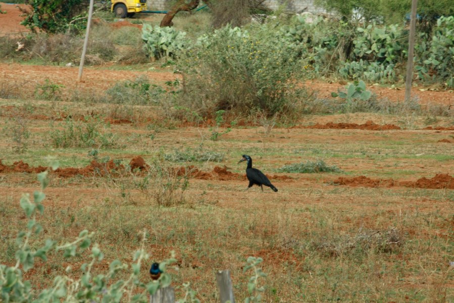 Photo by Joseph Aengwo