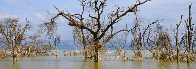 Lake Baringo